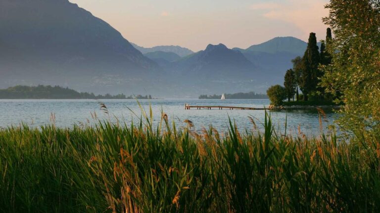 Why Is My 11Xplay Online Id Login Download Showing ?Network Error??